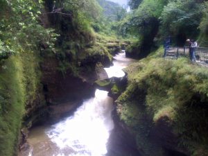 Devis Fall